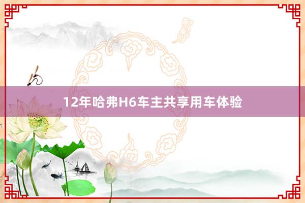 12年哈弗H6车主共享用车体验