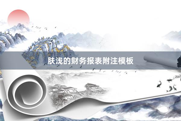 肤浅的财务报表附注模板